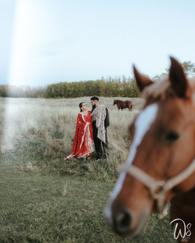 Bookings open for 2025 / 2026
.
To book/enquiry : Call +1-780-243-2901
Email : thewedshades@gmail.com
.
.
.
#bride #edmonton #edmontoweddingphotographer #calgaryweddingphotographer #weddingphotography #yyc #yeg #edmontonwedding #yegweddings #yegweddingphotographer #yycweddings #yvr #yvrwedding #yvrweddingphotographer #vancouverwedding #vancouverweddingphotographer #calgaryphotographer #edmontonphotographer #préwedding